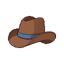 Cowboy Hat