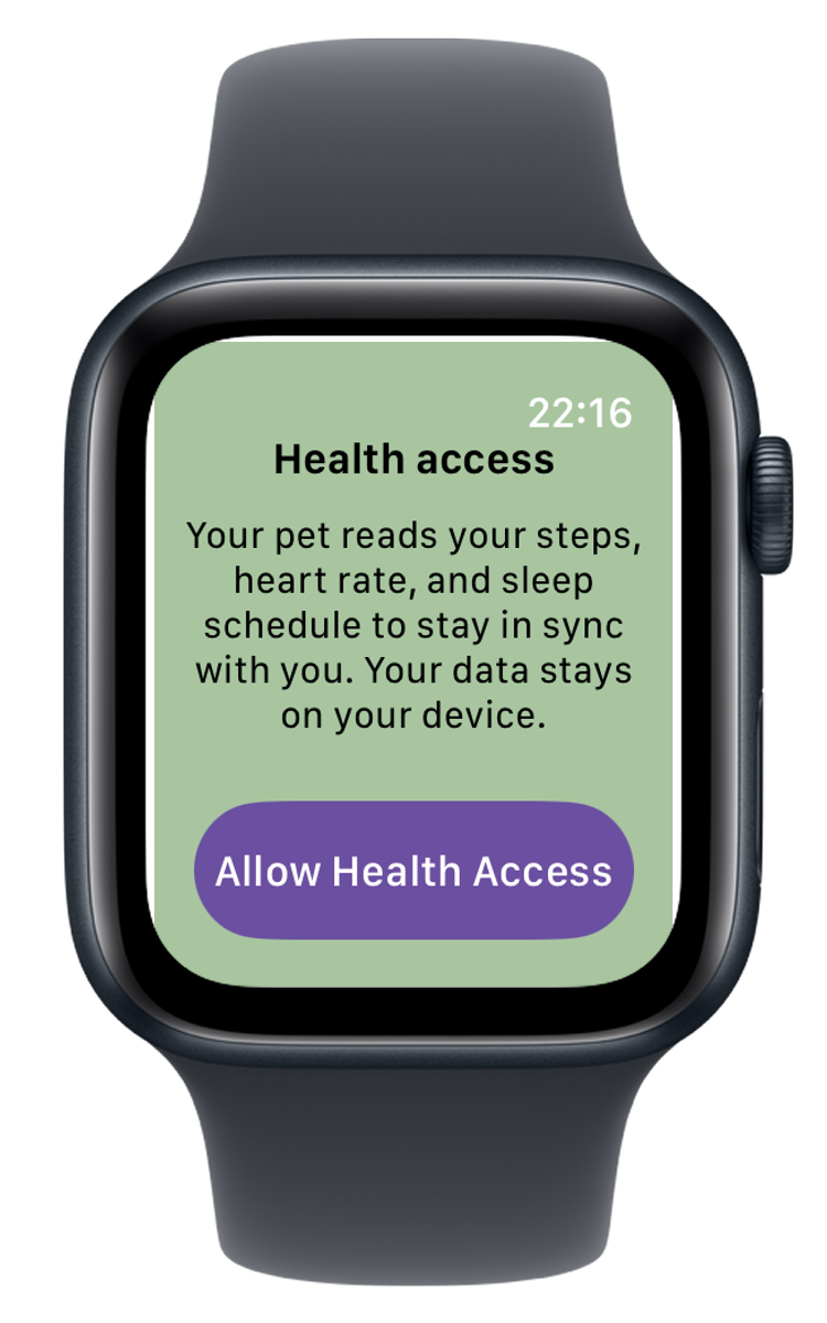 Health access prompt — Allow Health Access