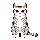 Gatto in pixel art, un WatchieBesti (Gatto) in Bianco