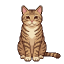 Gatto adulto in pixel art, un animaletto WatchieBesti del regno: Animali