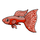 Pixel art Guppy Guppy in Scarlet