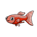 Pixel art Juvenile Guppy in Scarlet