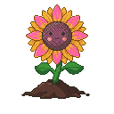 Pixel art Full Bloom Sunflower in Pink