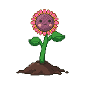 Pixel art Tall Sunflower Sunflower in Pink